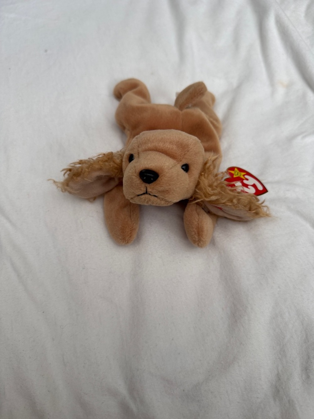Ty Plush Puppy in Light Brown with Floppy Ears